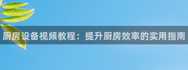 尊龙 10：厨房设备视频教程：提升厨房效率的实用指南