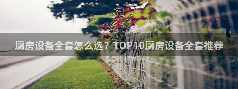 尊龙人生就是博旧版：厨房设备全套怎么选？TOP10厨房设备全