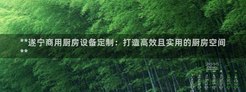 尊龙凯时人生就博官网登录：**遂宁商用厨房设备定制：打造高效