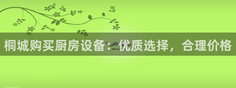 尊龙d88ag官方网站：桐城购买厨房设备：优质选择，合理价格