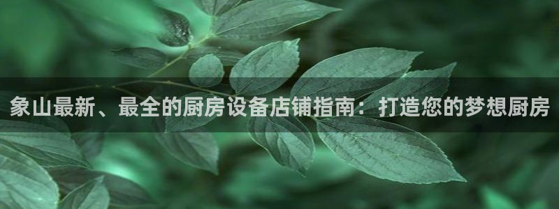 尊龙官方网站：象山最新、最全的厨房设备店铺指南：打造您的梦想