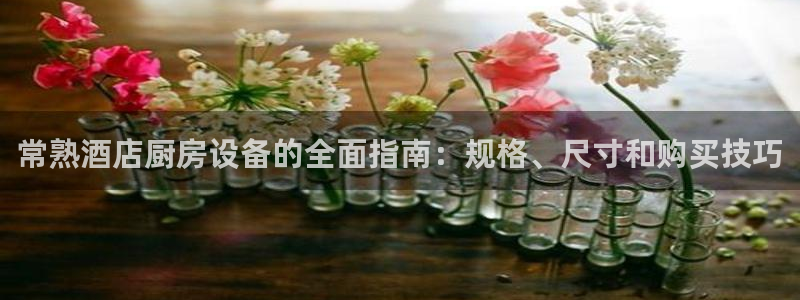 尊龙凯时请求参数不符合：常熟酒店厨房设备的全面指南：规格、尺