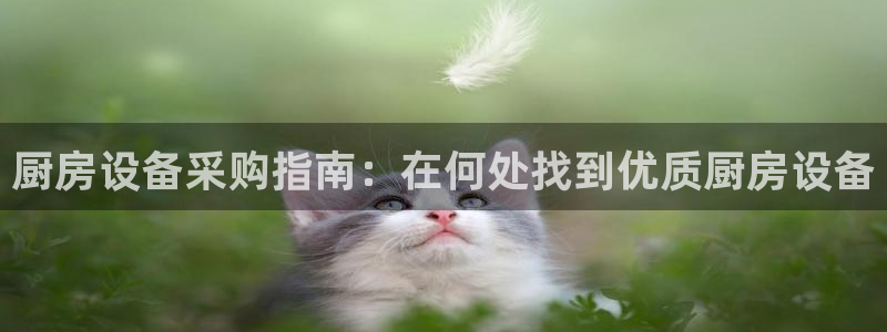 凯时官网手机版下载