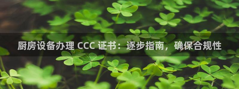 尊龙app官网登录：厨房设备办理 CCC 证书：逐步指南，确